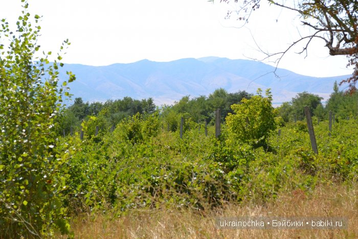 Песня души моей - Ламберта Zwergnase (фото 7)