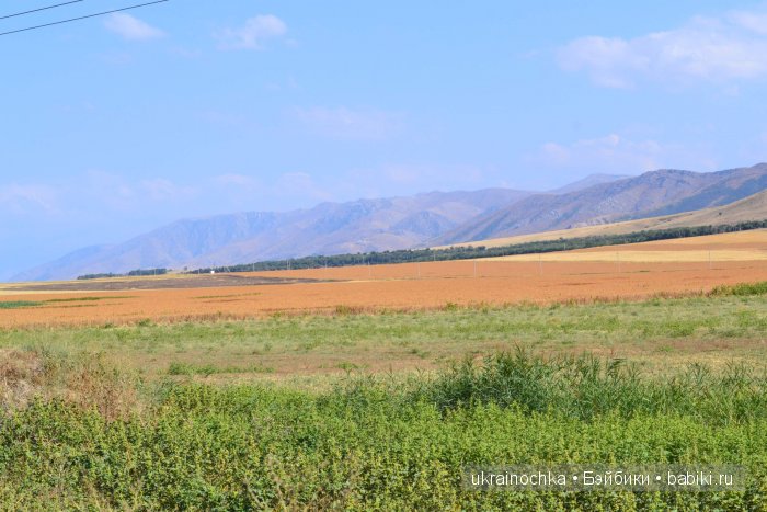 Песня души моей - Ламберта Zwergnase (фото 2)