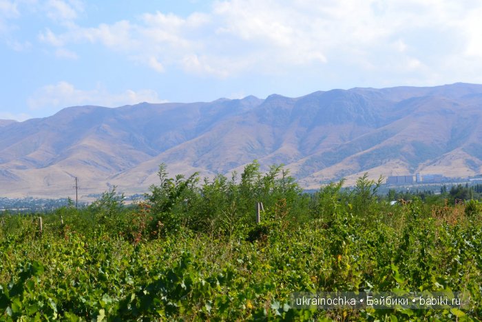 Песня души моей - Ламберта Zwergnase (фото 8)