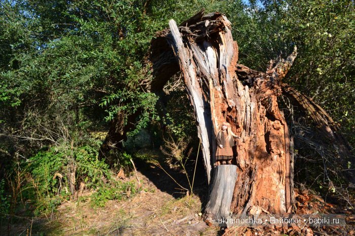 Песня души моей - Ламберта Zwergnase