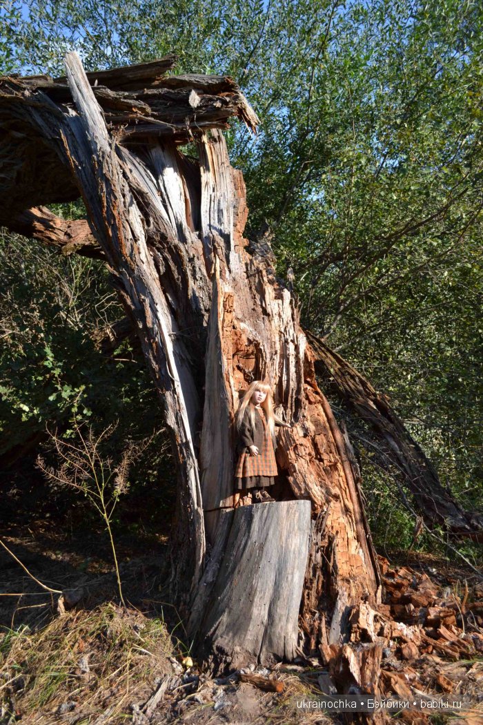 Песня души моей - Ламберта Zwergnase