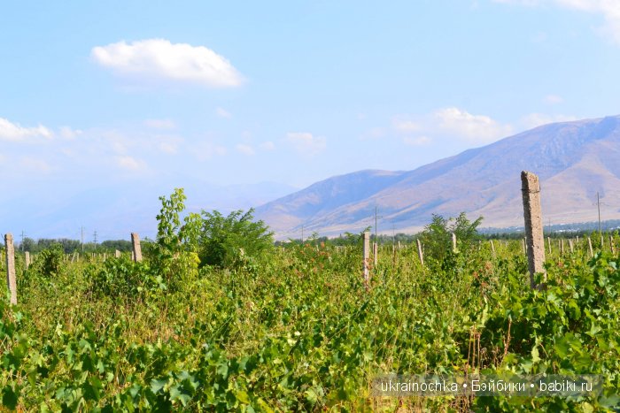 Песня души моей - Ламберта Zwergnase (фото 9)