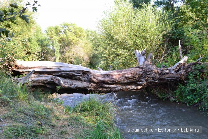 Песня души моей - Ламберта Zwergnase