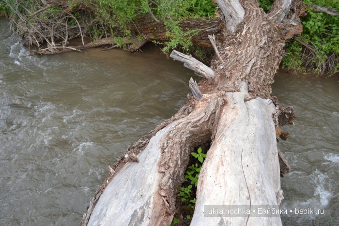 Песня души моей - Ламберта Zwergnase