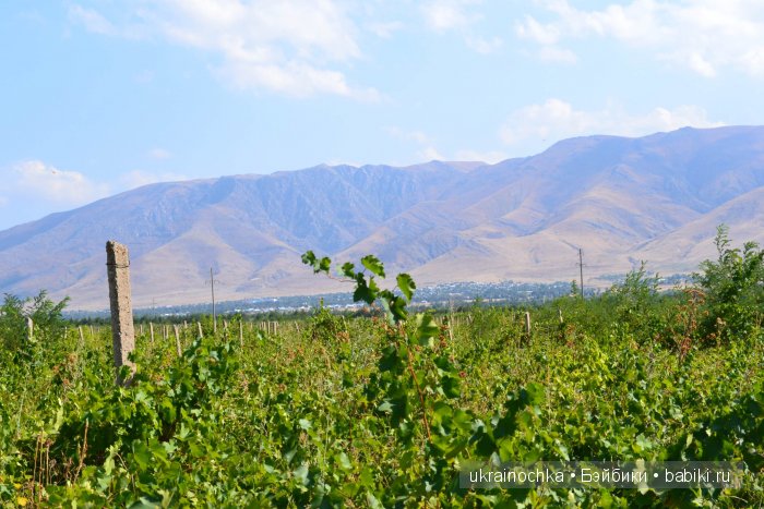 Песня души моей - Ламберта Zwergnase