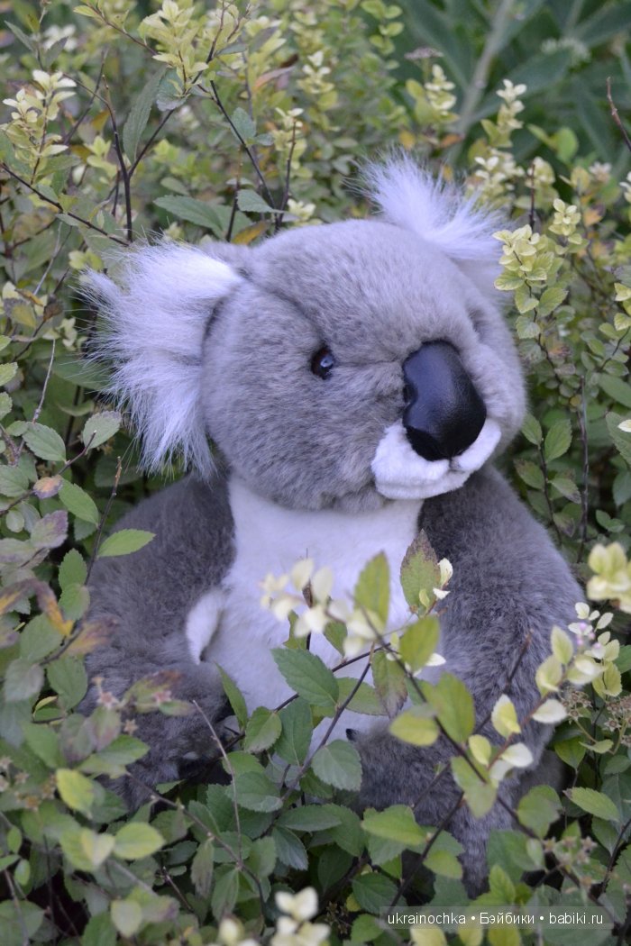 Маша или Nel от Zwergnase и её медведи