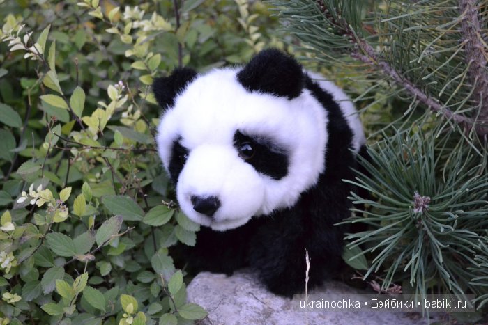 Маша или Nel от Zwergnase и её медведи