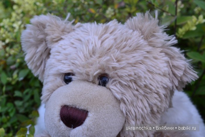 Маша или Nel от Zwergnase и её медведи