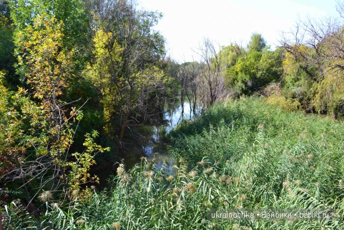 Постой, паровоз, не стучите колёса... Куклы Susi Eimer (фото 2)