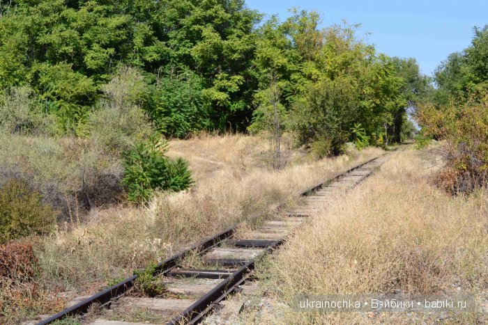 Постой, паровоз, не стучите колёса... Куклы Susi Eimer (фото 3)