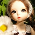 Вдогонку к лету...