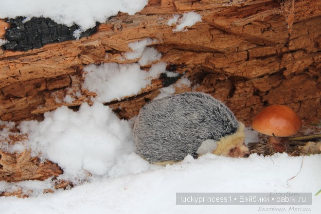 Зимняя сказка эльфика Мариссы. Кукла реборн LuckyBaby by Ekaterina Metlina | Бэйбики Зимняя сказка эльфика Мариссы. Кукла реборн LuckyBaby by Ekaterina Metlina