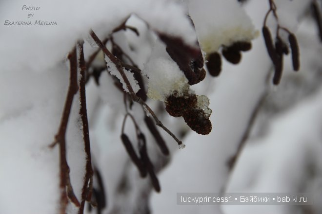 Зимняя сказка эльфика Мариссы. Кукла реборн LuckyBaby by Ekaterina Metlina | Бэйбики Зимняя сказка эльфика Мариссы. Кукла реборн LuckyBaby by Ekaterina Metlina