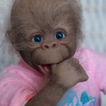 Обезьянка Чича. Кукла реборн Екатерины Метлиной