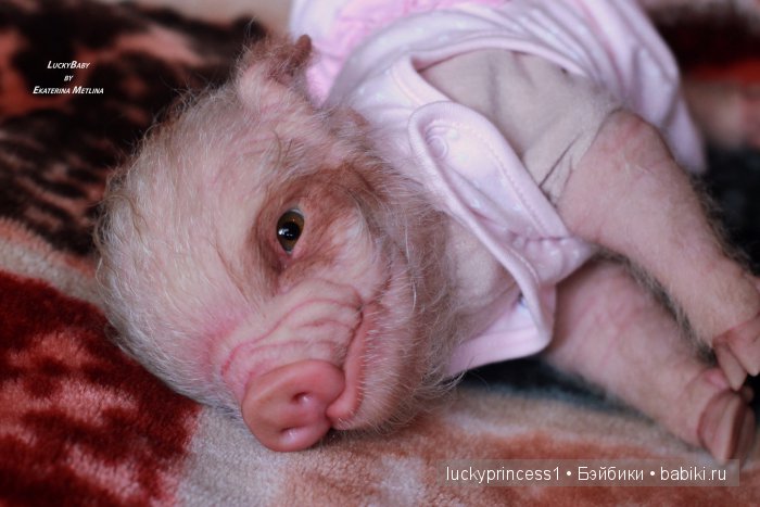 Свинка Хлоя. Часть 2 — Куклы Реборн (Reborn): работы мастеров (фото 4)