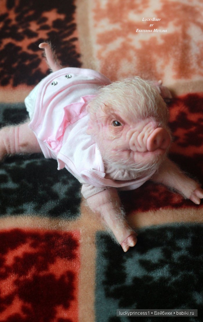 Свинка Хлоя. Часть 2 — Куклы Реборн (Reborn): работы мастеров