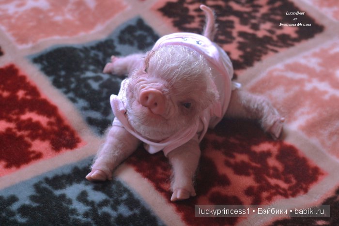 Свинка Хлоя. Часть 2 — Куклы Реборн (Reborn): работы мастеров (фото 3)