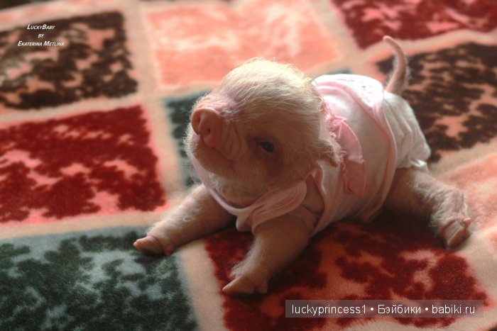 Свинка Хлоя. Часть 2 — Куклы Реборн (Reborn): работы мастеров (фото 2)