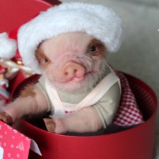 Чудеса существуют, главное в них верить!