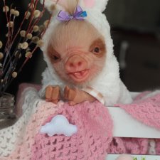 Маленький Пасхальный зайчик. Свинка реборн из молда Fawn