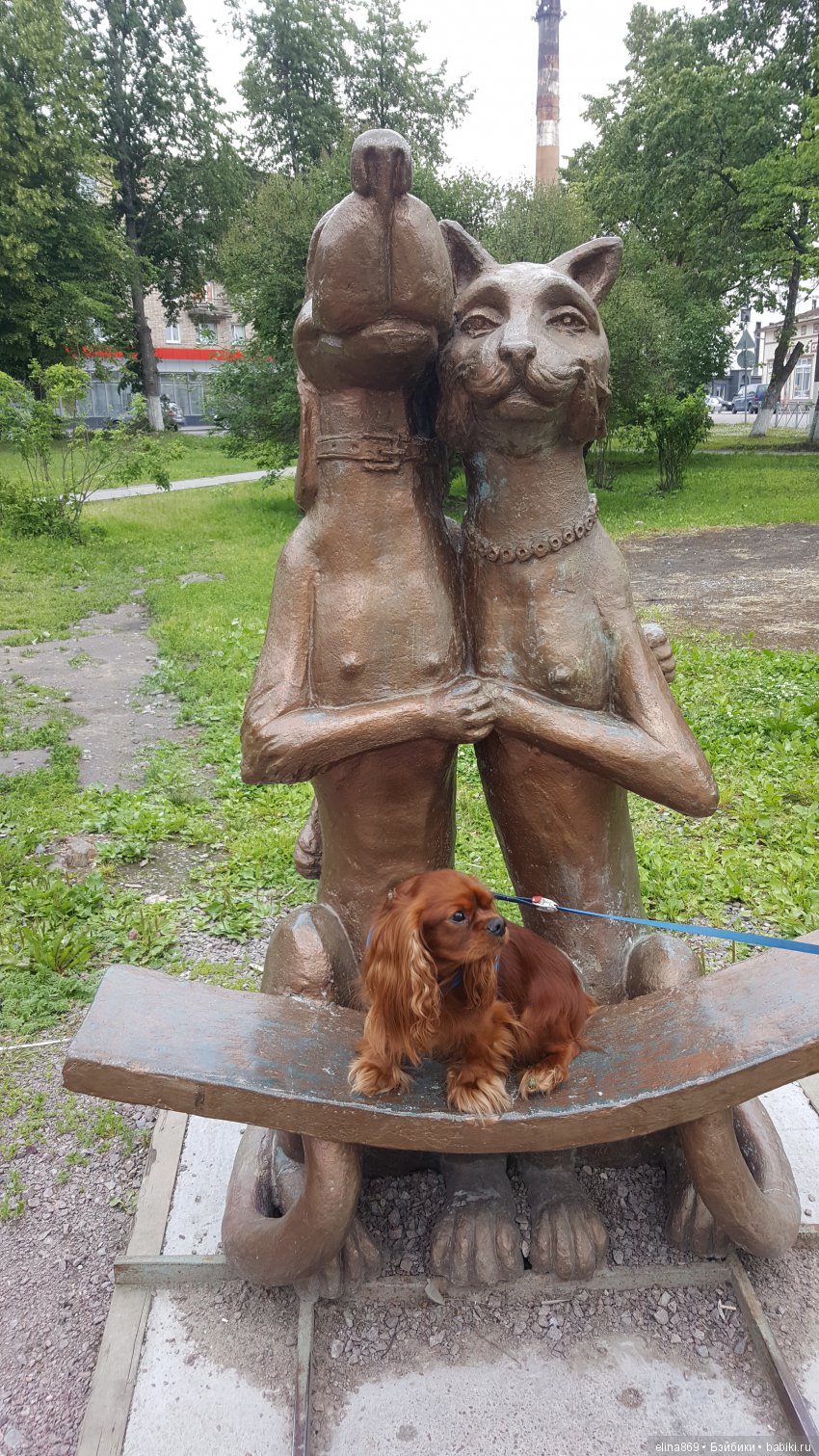 Мое сокровище.