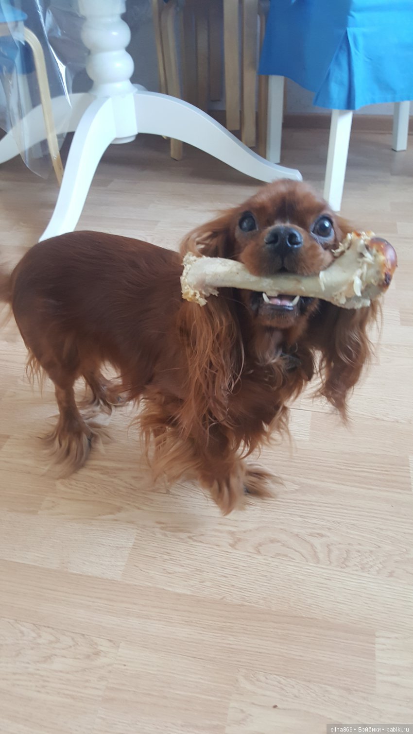 Тимофей угощает)