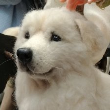 XII Международная выставка Moscow Fair. Часть 2