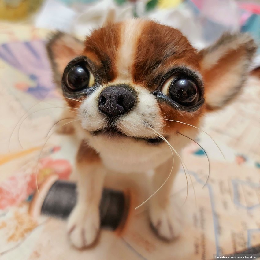 - Chihuahua Chi | Dog sewing patterns, Animal sewing patterns, Teddy bear sewing pattern