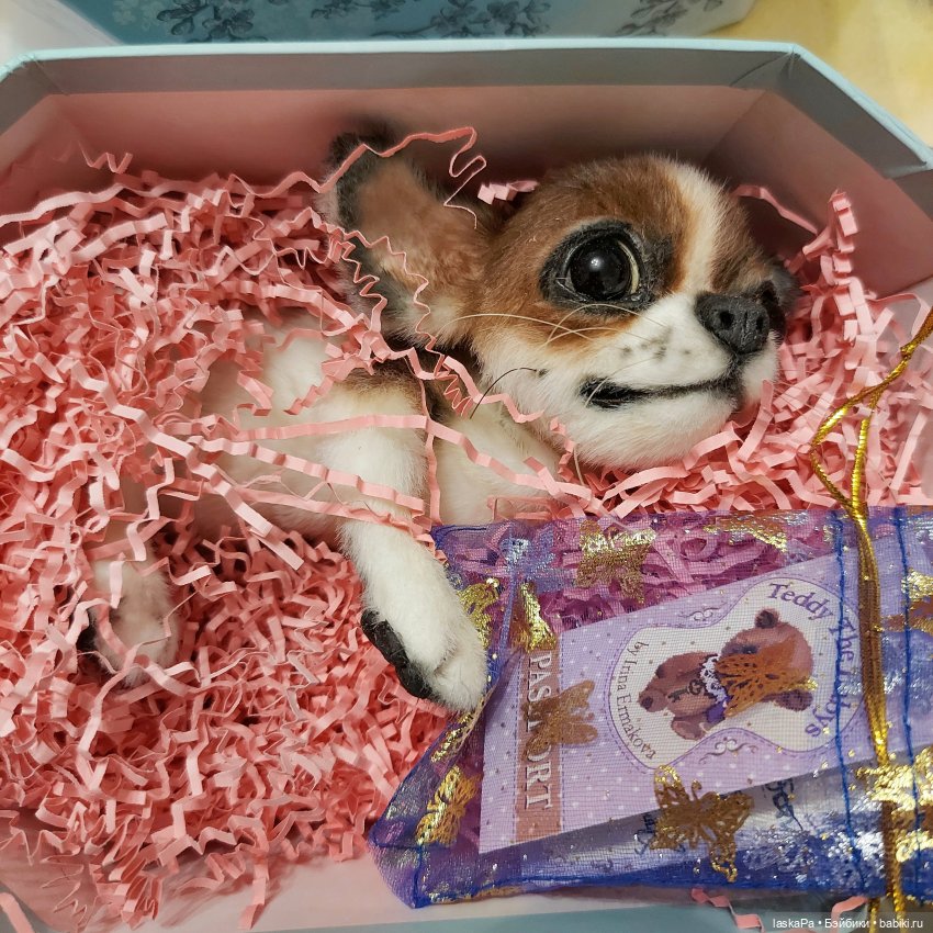 Зюзя - крошка чихуахуа — Домашние фото авторских игрушек: Тедди (фото 2)