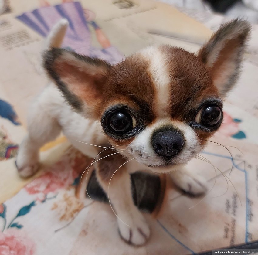 Зюзя - крошка чихуахуа — Домашние фото авторских игрушек: Тедди (фото 5)