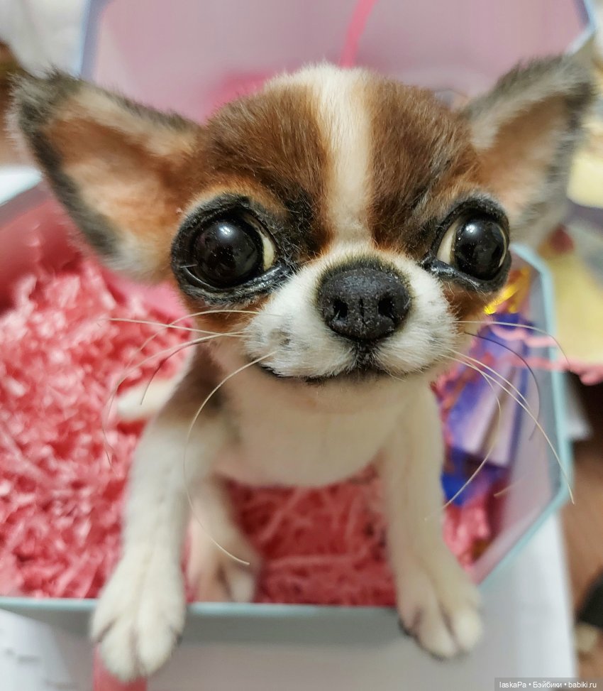 Зюзя - крошка чихуахуа — Домашние фото авторских игрушек: Тедди (фото 3)