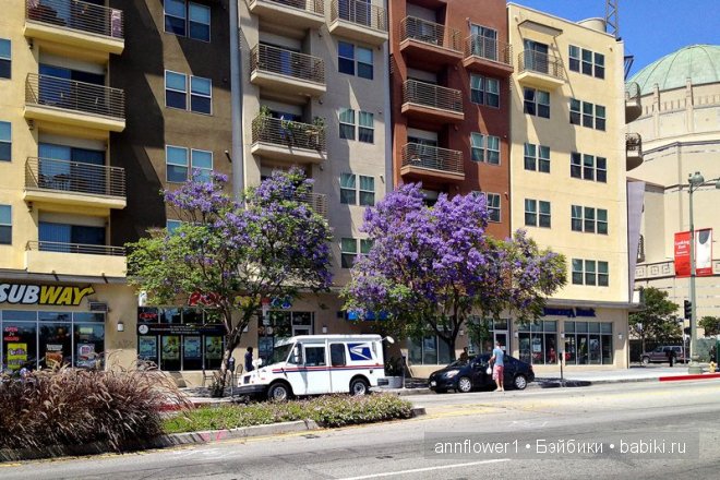 Как работает почта в США — Покупки (фото 8)