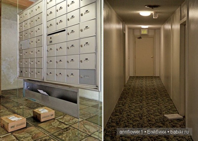 Как работает почта в США — Покупки (фото 10)