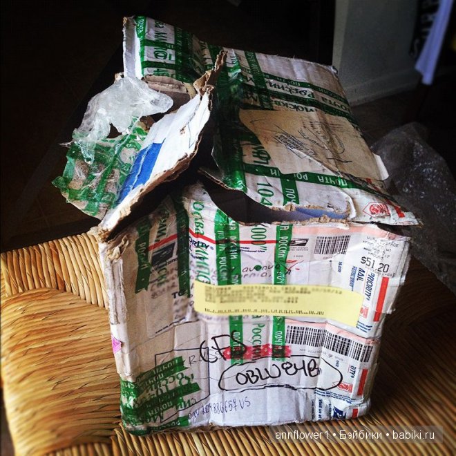 Как работает почта в США — Покупки