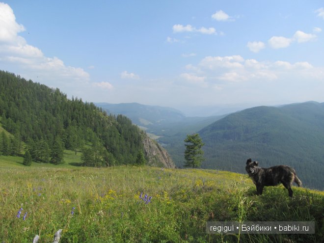 Первая прогулка Ханны (Gotz) на гору (фото 3)