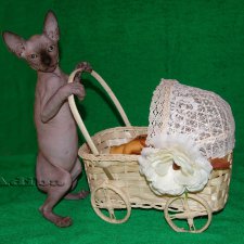 Вселяет в сердце и нежность и блаженство. Сфинкс - само совершенство