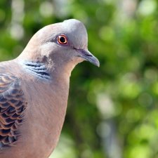 Ждем встречи...