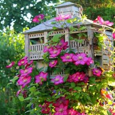 Домики, кормушки. Красиво , стильно. Благодарность от птиц. Идея чем заняться дома