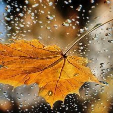 Лето продолжается