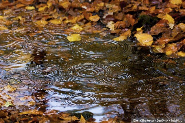 Осень наступила... пора дождей