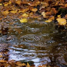 Осень наступила... пора дождей