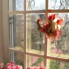 Ты птица? Как звать тебя?