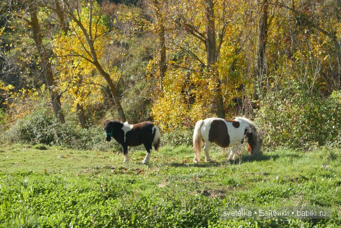 Путешествие Северянина по Испании