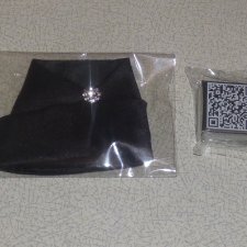 Часть аутфита Violaine из Style Lab 2024 Convention (Integrity toys)