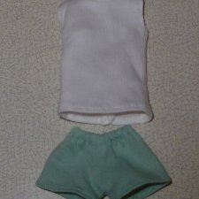 Полный аутфит редкой Today's Momoko (Petworks) новый