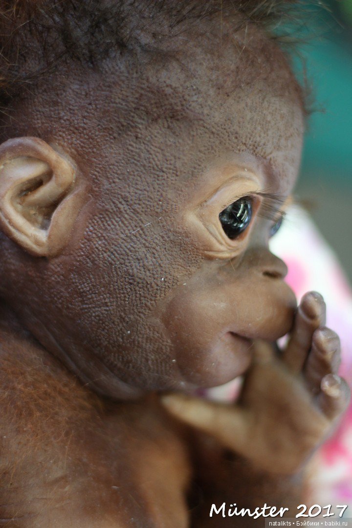 Кукольная весна . Международная выставка в Münster 29-30 апреля (фото 6)