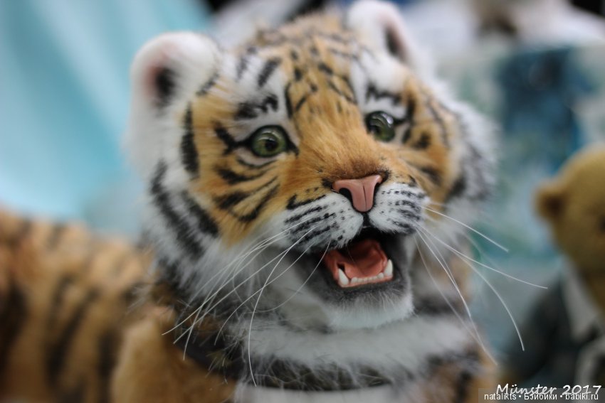 Вторая часть . Мишки и другие" плюшики" Teddy Bär Total 2017