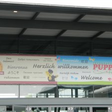 Кукольная весна . Международная выставка  в Münster   29-30 апреля.