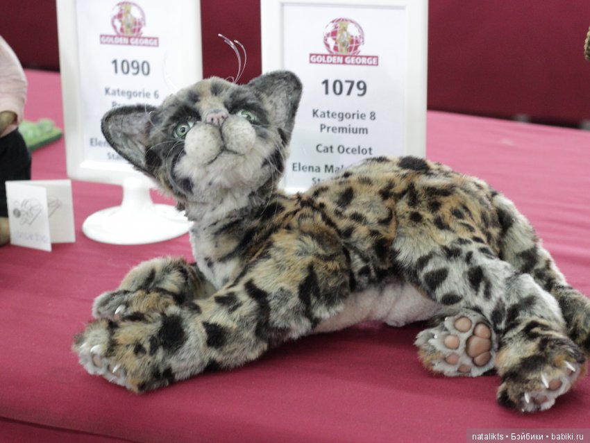 Münster 2018 Часть четвертая (фото 8)