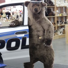 Münster 2018     Часть вторая  ...